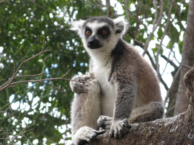 séjour découverte Madagascar