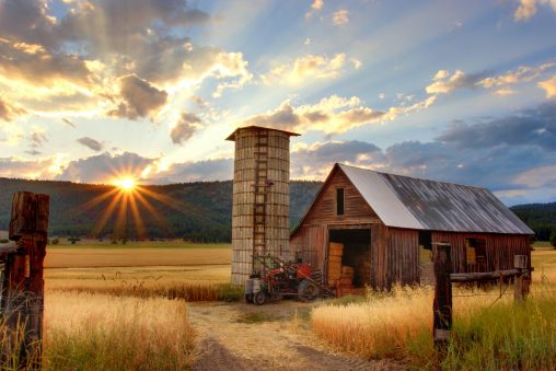 Vacances à la ferme