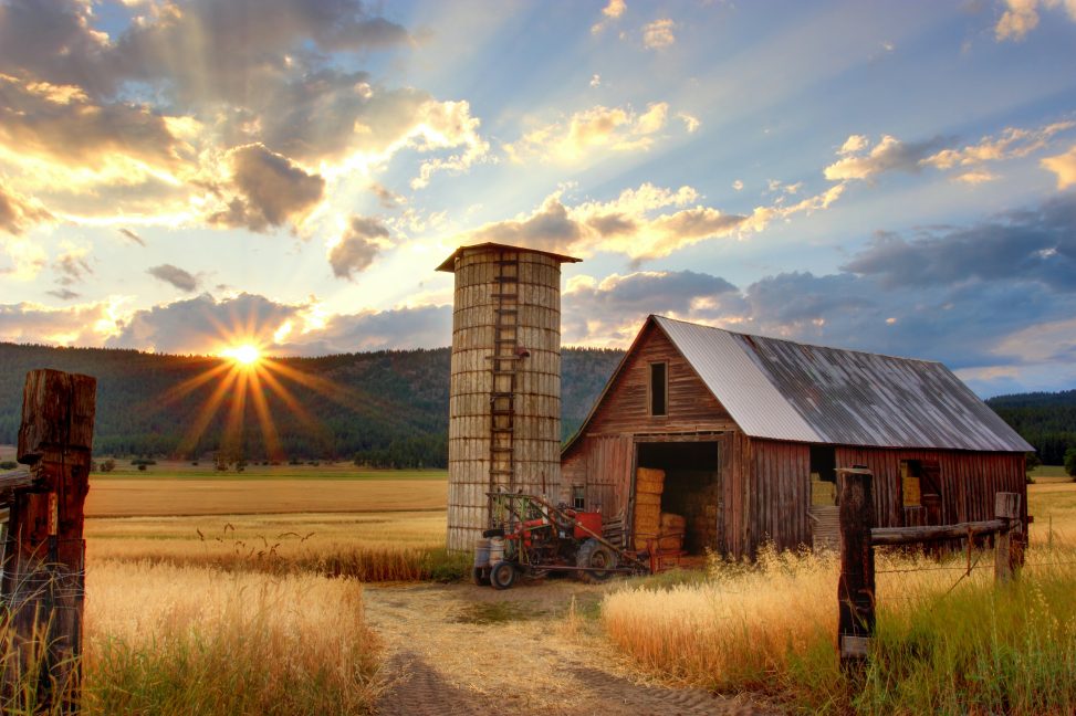 Vacances à la ferme