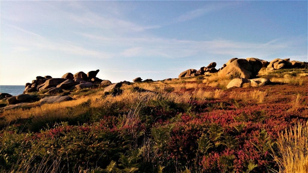 côte de granit Rose